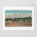 Search for finish postcards Springs