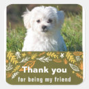 Search for friendships stickers For kids