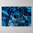 Search for abalone art Blue