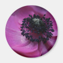 Search for anemone magnets Floral