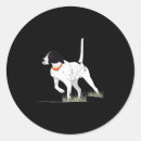 Search for english pointer stickers Hunting
