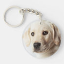 Search for golden labrador key rings Animal