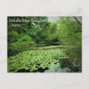 Search for lily pad postcards Pond