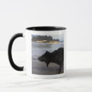 Search for santa barbara mugs Beach