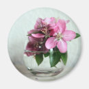 Search for gentleness magnets Flowers