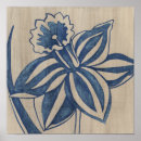 Search for daffodils posters Botanical