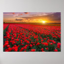 Search for bulbs art Netherlands