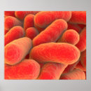 Search for biomolecules posters Pathology