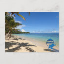 Search for turtle horizontal postcards Coral