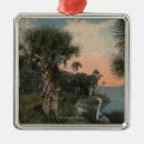 Search for blue heron christmas tree decorations Florida