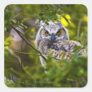 Search for nature scene stickers Looking at camera