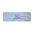 Search for frozen return address labels Icy