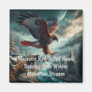 Search for soaring magnets Bird of prey