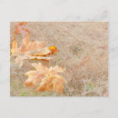 Search for dons postcards Autumn