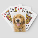 Search for golden retriever playing cards Smile