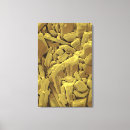 Search for electron micrography art Medicine