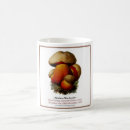 Search for fungi mugs Toadstool