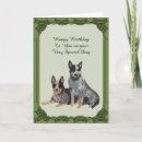 Search for australian cattle dogs cards Pet