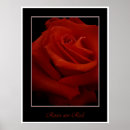 Search for 14th feb art Red