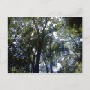 Search for elve postcards Green