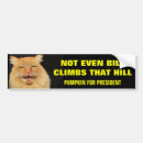 Search for bill bumper stickers Hillary clinton