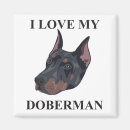 Search for doberman magnets Cute