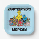Search for cookie monster birthday plates Bert