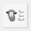 Search for ewe magnets Lamb