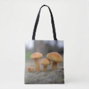 Search for toadstool bags Fungi