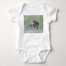 Search for cottontail Nature