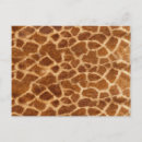 Search for skin patterns postcards Giraffe