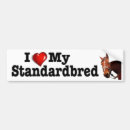 Search for standardbred horse Horses