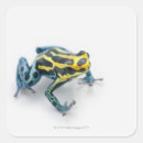 Search for blue frog stickers Animal