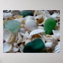 Search for abalone art Beach