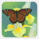 Search for irie stickers Daisy