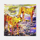 Search for cheetah cat magnets Africa