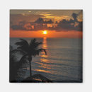 Search for cancun magnets Nature