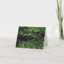 Search for pond turtle cards Green