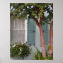 Search for window shutters art Green