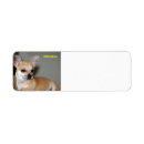 Search for best friend return address labels Dog