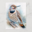Search for flickering postcards Yellowhammer