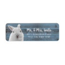 Search for pet rabbit return address labels Bunny
