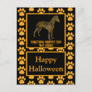 Search for whippet dog postcards Pets