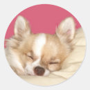 Search for snooze stickers Animal
