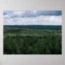Search for treetops posters Woodland