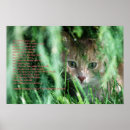 Search for kitten poem Poetry