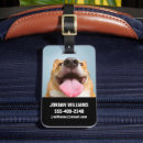 Search for corgi luggage tags Canine