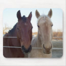 Search for buddy mouse mats Horse