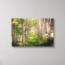 Search for forest path art Peaceful