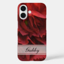 Search for red carnation Carnations